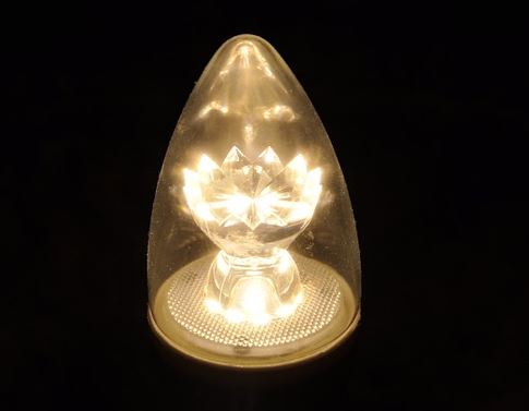 LED-lampor i trädgården?
